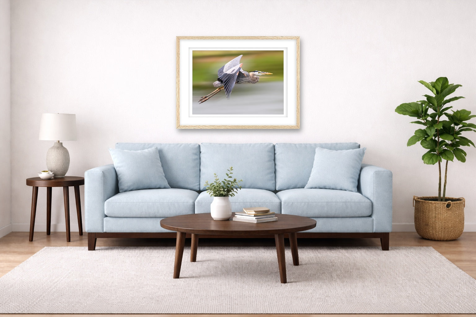 Blue Heron in Flight printed on fine art paper, framed on a oak frame and matted. Hung on a living room wall.