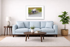 Blue Heron in Flight printed on fine art paper, framed on a white frame and matted. Hung on a living room wall.