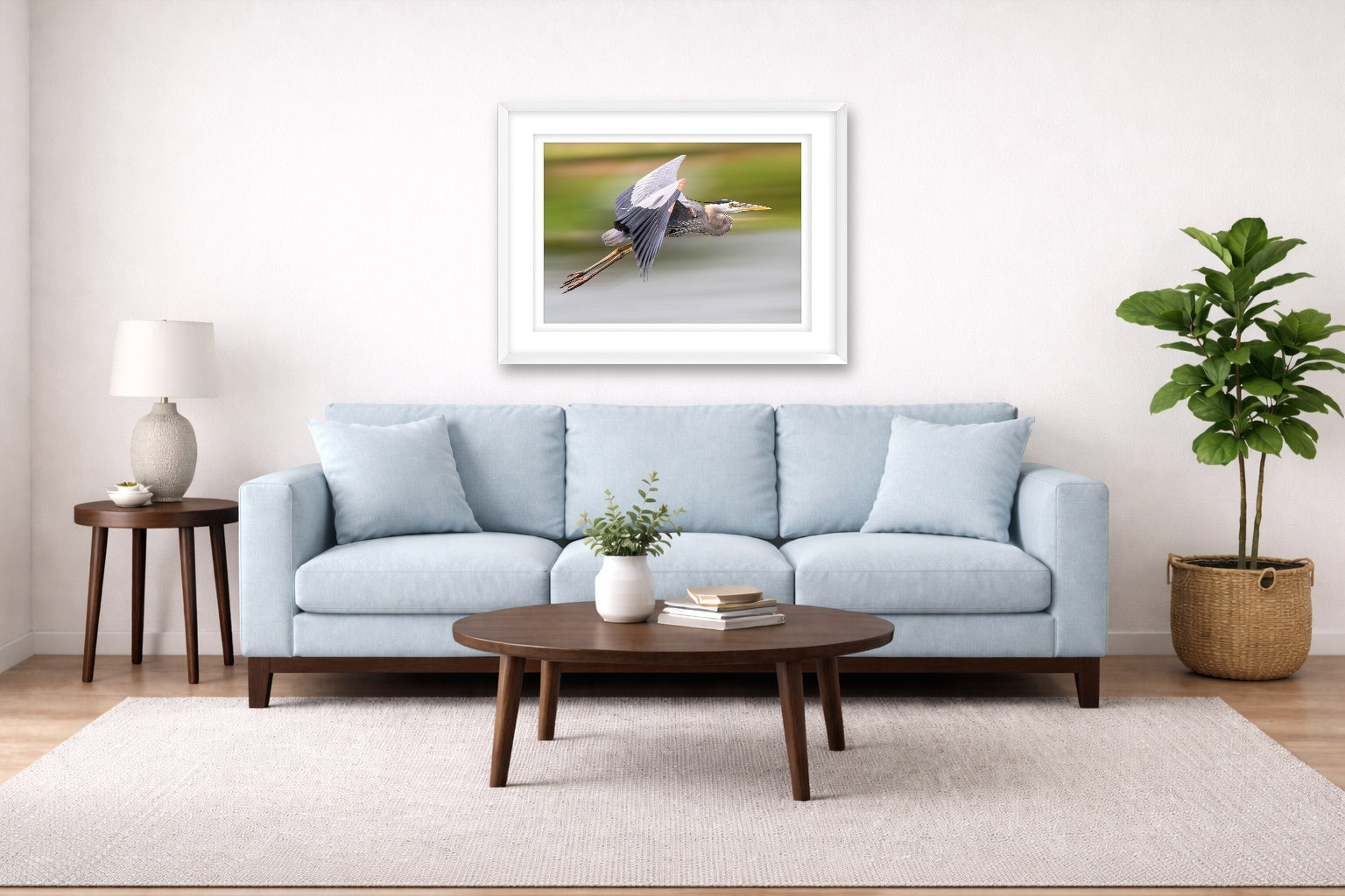Blue Heron in Flight printed on fine art paper, framed on a white frame and matted. Hung on a living room wall.