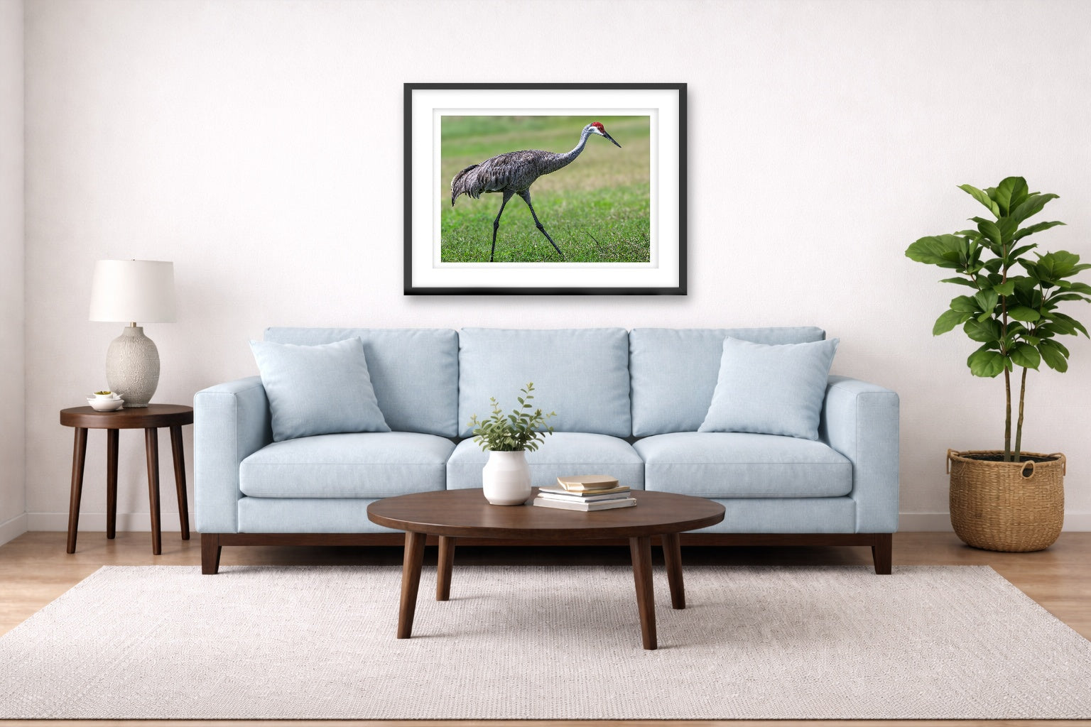 Sandhill Crane - Walking printed on fine art paper, framed on a black frame and matted and hung on a Living Room wall above a couch