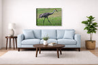 Sandhill Crane - Walking printed on canvas wall art displayed above a couch in a living room