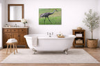 Sandhill Crane - Walking printed on aluminum metal with wall anchors. Hung on a bathroom wall.