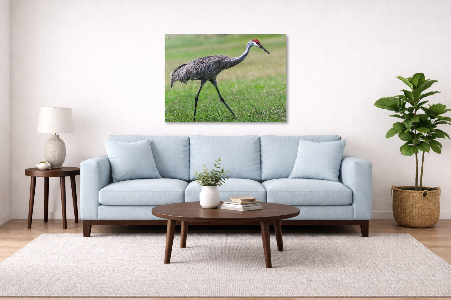 Sandhill Crane - Walking printed on aluminum metal with wall anchors. Hung on a living room wall.