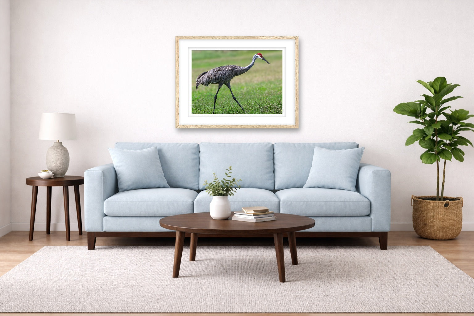 Sandhill Crane - Walking printed on fine art paper, framed on a oak frame and matted. Hung on a living room wall.