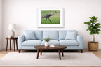 Sandhill Crane - Walking printed on fine art paper, framed on a white frame and matted. Hung on a living room wall.