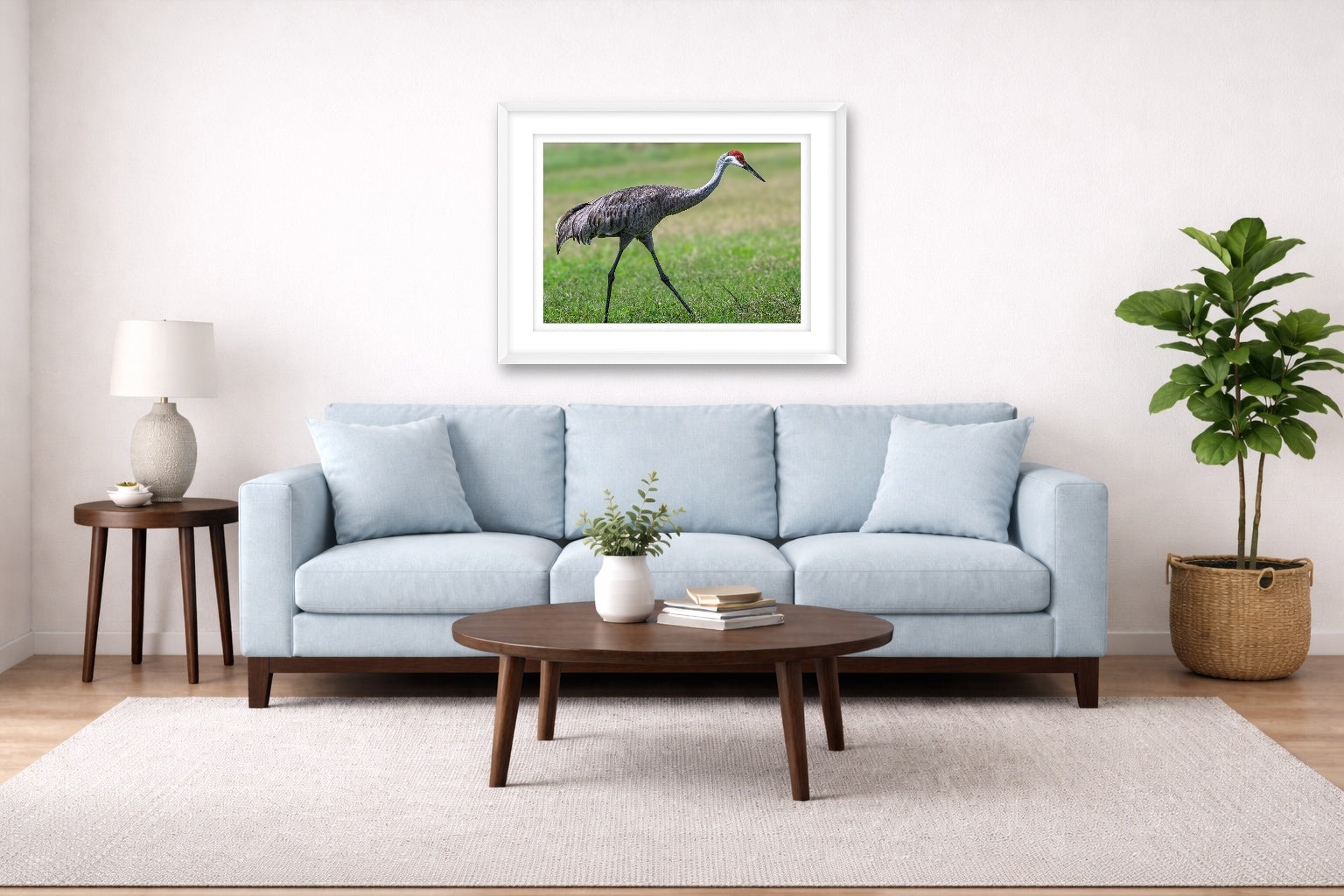 Sandhill Crane - Walking printed on fine art paper, framed on a white frame and matted. Hung on a living room wall.