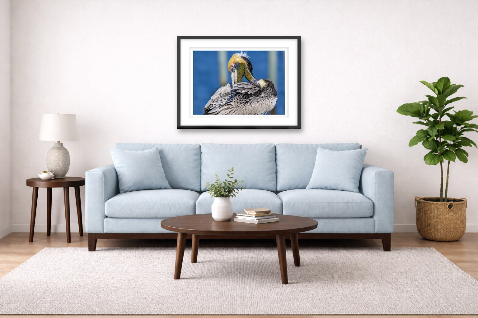 Preening Pelican printed on fine art paper, framed on a black frame and matted and hung on a Living Room wall above a couch
