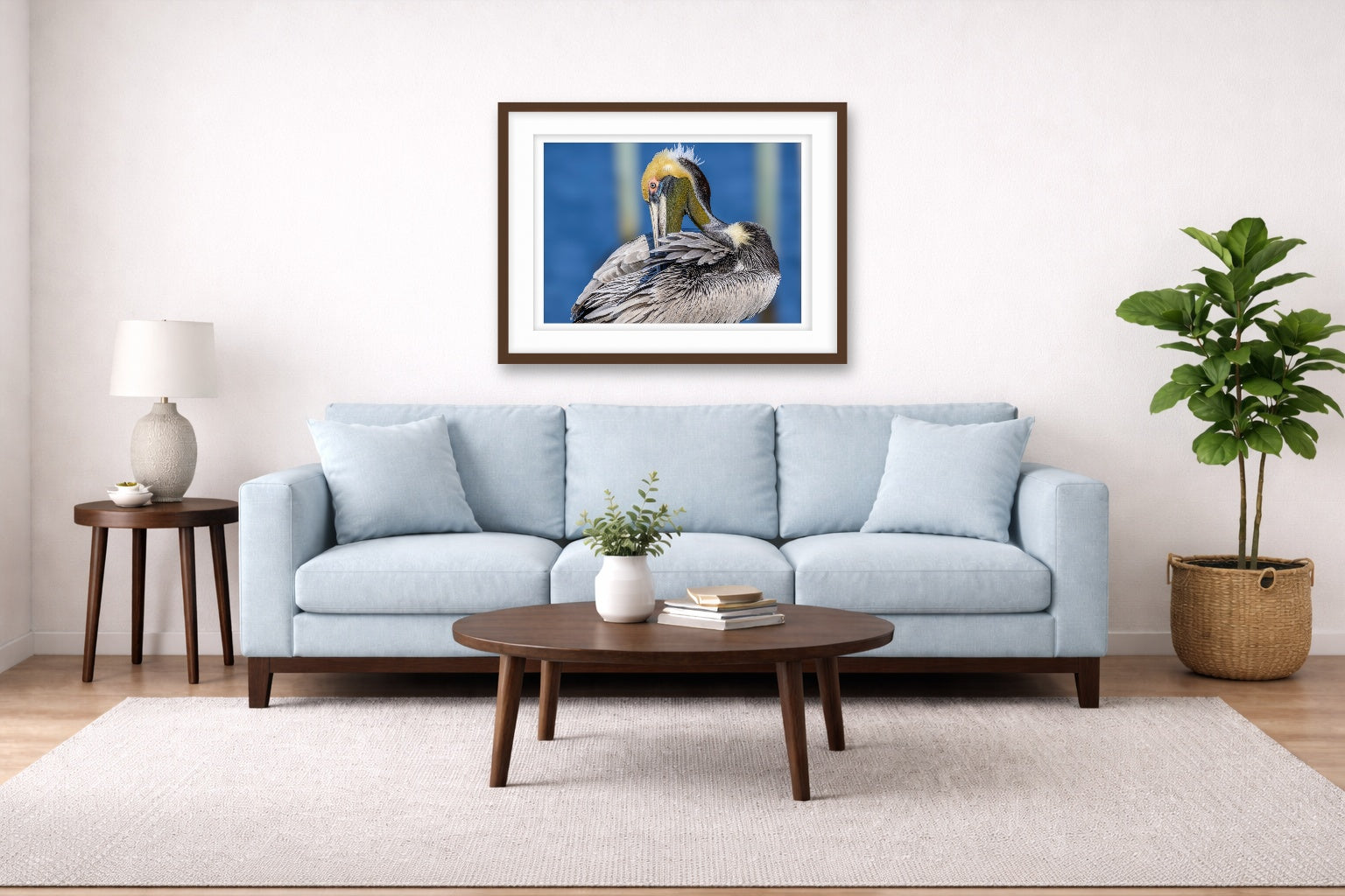 Preening Pelican printed on fine art paper, framed on a espresso frame and matted. Hung on a living room wall