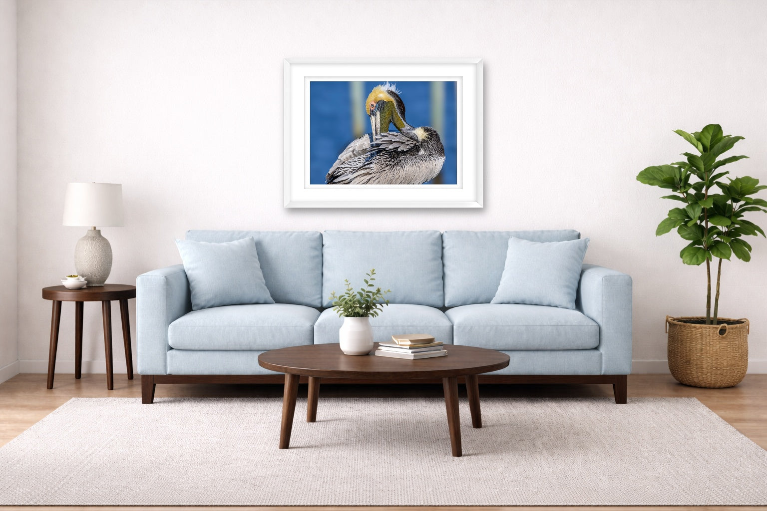 Preening Pelican printed on fine art paper, framed on a white frame and matted. Hung on a living room wall.