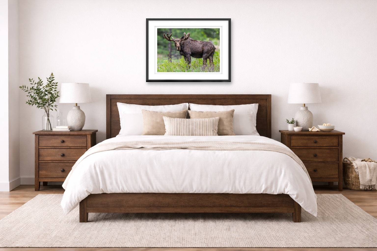 Moose in the Rockies printed on fine art paper, framed on a black frame and matted and hung on a wall on an bedroom wall.