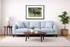 Moose in the Rockies printed on fine art paper, framed on a black frame and matted and hung on a Living Room wall above a couch