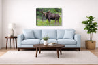 Moose in the Rockies printed on canvas wall art displayed above a couch in a living room