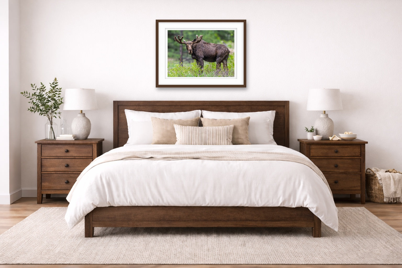 Moose in the Rockies printed on fine art paper, framed on a espresso frame and matted. Hung on a living bedroom wall.