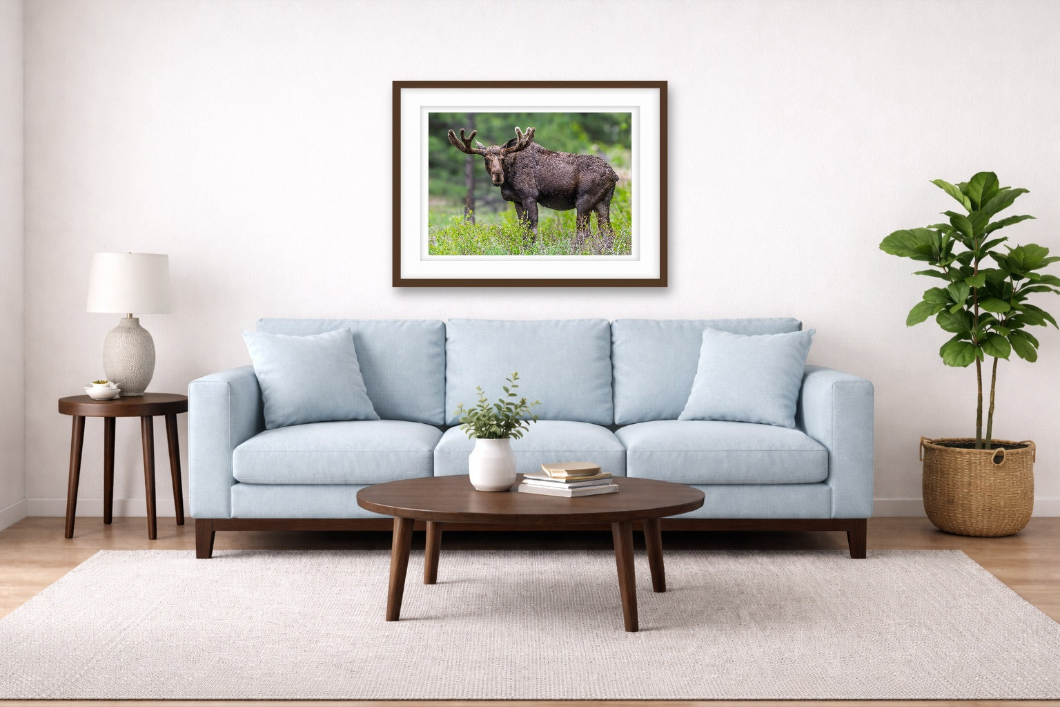 Moose in the Rockies printed on fine art paper, framed on a espresso frame and matted. Hung on a living room wall