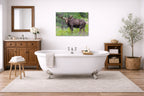 Moose in the Rockies printed on aluminum metal with wall anchors. Hung on a bathroom wall.