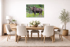 Moose in the Rockies printed on aluminum metal with wall anchors. Hung on a dining room wall.