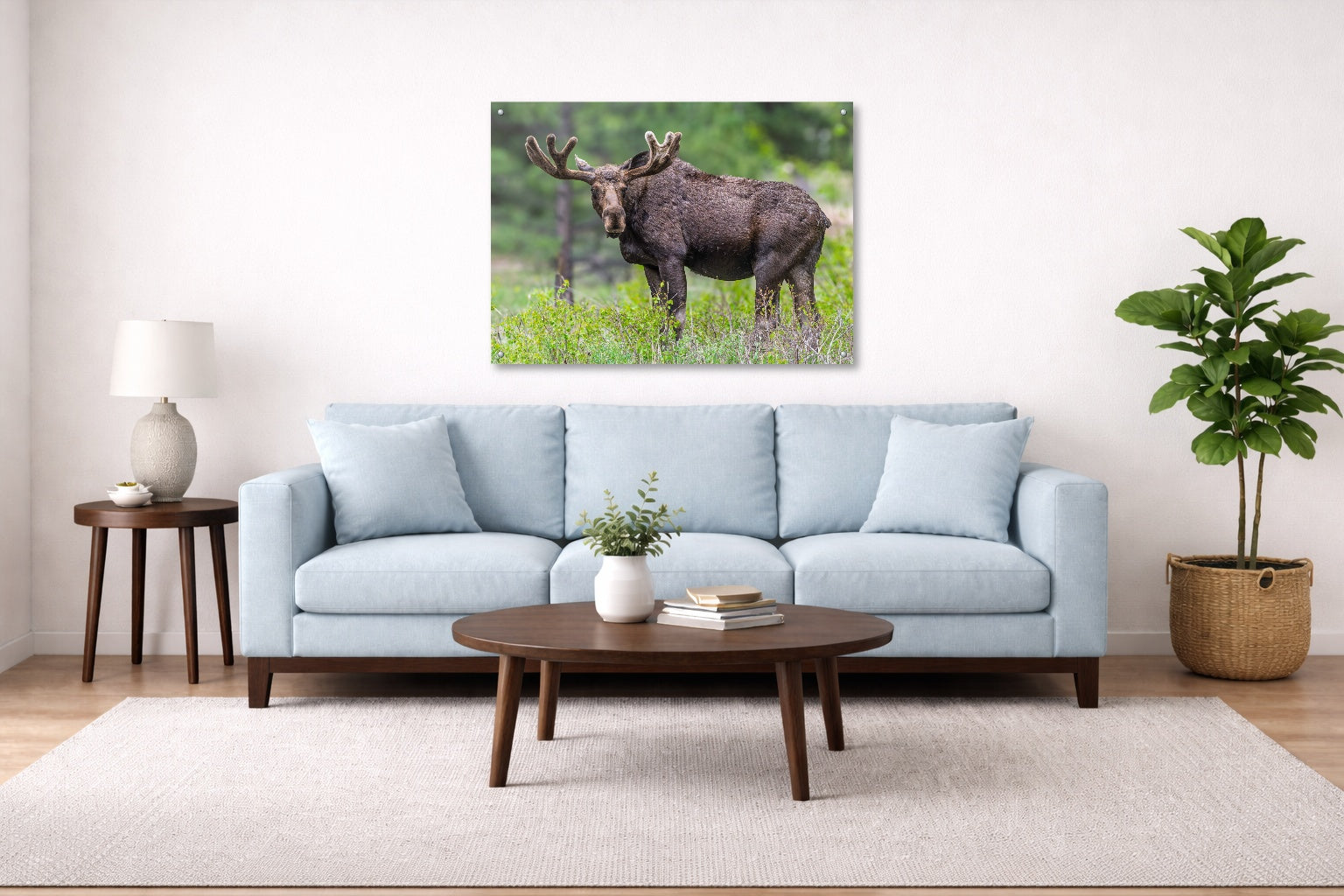 Moose in the Rockies printed on aluminum metal with wall anchors. Hung on a living room wall.
