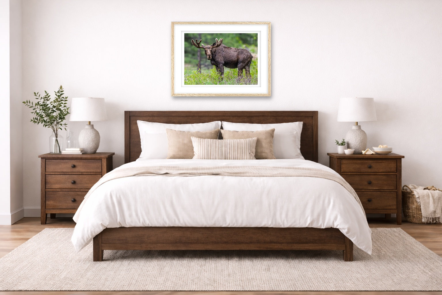Moose in the Rockies printed on fine art paper, framed in a oak frame and matted. Hung on a bedroom wall.