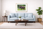 Moose in the Rockies printed on fine art paper, framed on a oak frame and matted. Hung on a living room wall.