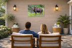 Moose in the Rockies printed on water resistant canvas and mounted on a waterproof frame. Hung on a patio wall with couple.