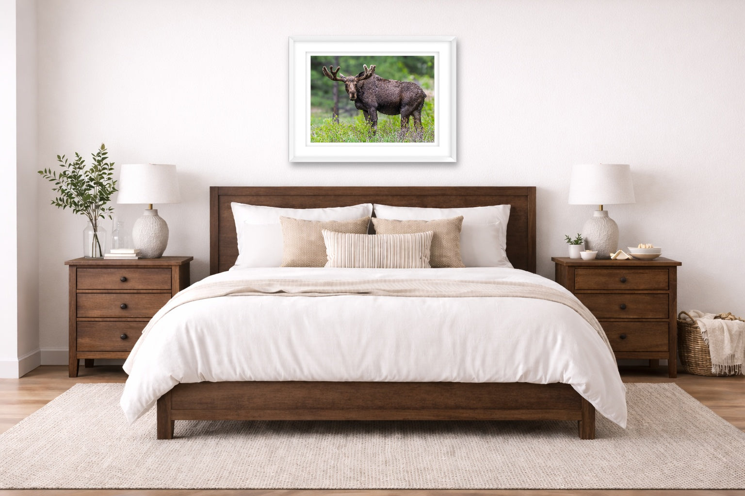 Moose in the Rockies printed on fine art paper, framed on a white frame and matted. Hung on a bedroom room wall