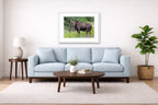 Moose in the Rockies printed on fine art paper, framed on a white frame and matted. Hung on a living room wall.