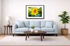 Petals of Gold - Sunflower printed on fine art paper, framed on a black frame and matted and hung on a Living Room wall above a couch