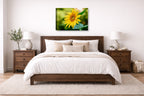 Petals of Gold - Sunflower printed on canvas wall art displayed on a wall above a bed.