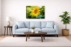 Petals of Gold - Sunflower printed on canvas wall art displayed above a couch in a living room