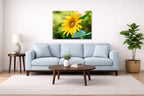 Petals of Gold - Sunflower printed on aluminum metal with wall anchors. Hung on a living room wall.