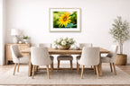 Petals of Gold - Sunflower printed on fine art paper, framed on a oak frame and matted. Hung on a dining room wall.