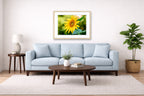 Petals of Gold - Sunflower printed on fine art paper, framed on a oak frame and matted. Hung on a living room wall.
