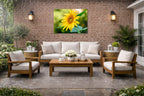 Petals of Gold - Sunflower printed on water resistant canvas and mounted on a waterproof frame. Hung on a patio wall.