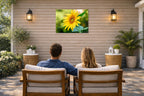 Petals of Gold - Sunflower printed on water resistant canvas and mounted on a waterproof frame. Hung on a patio wall with couple.