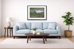 Ibis Walking in the Grass printed on fine art paper, framed on a black frame and matted and hung on a Living Room wall above a couch