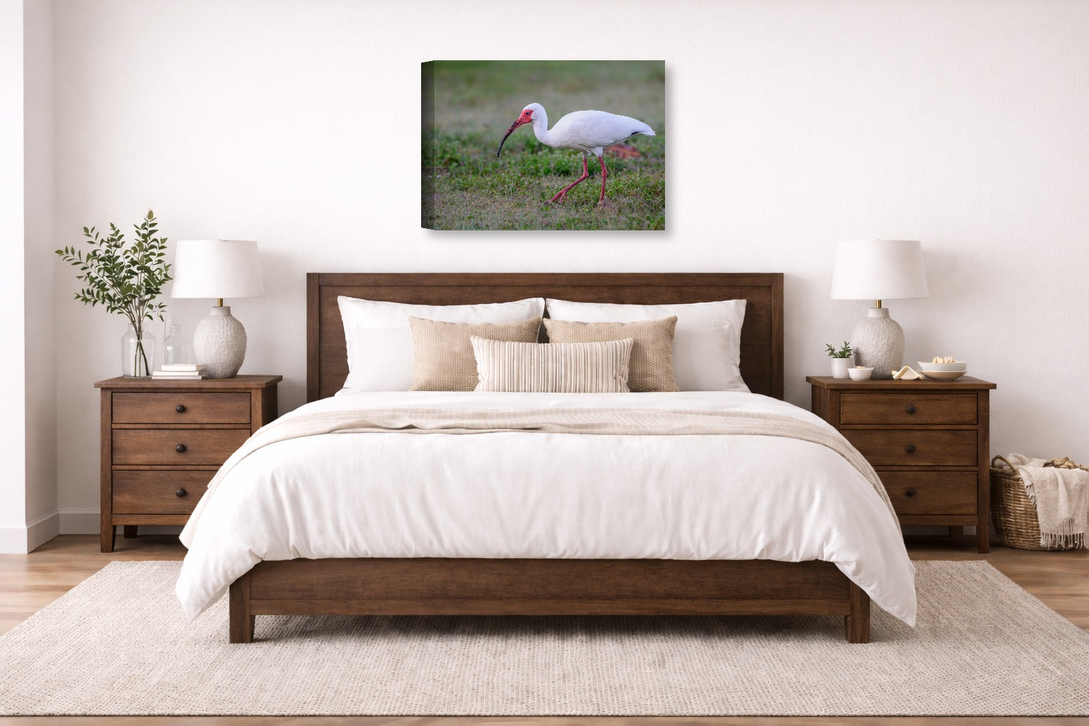 Ibis Walking in the Grass printed on canvas wall art displayed on a wall above a bed.