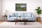 Ibis Walking in the Grass printed on canvas wall art displayed above a couch in a living room