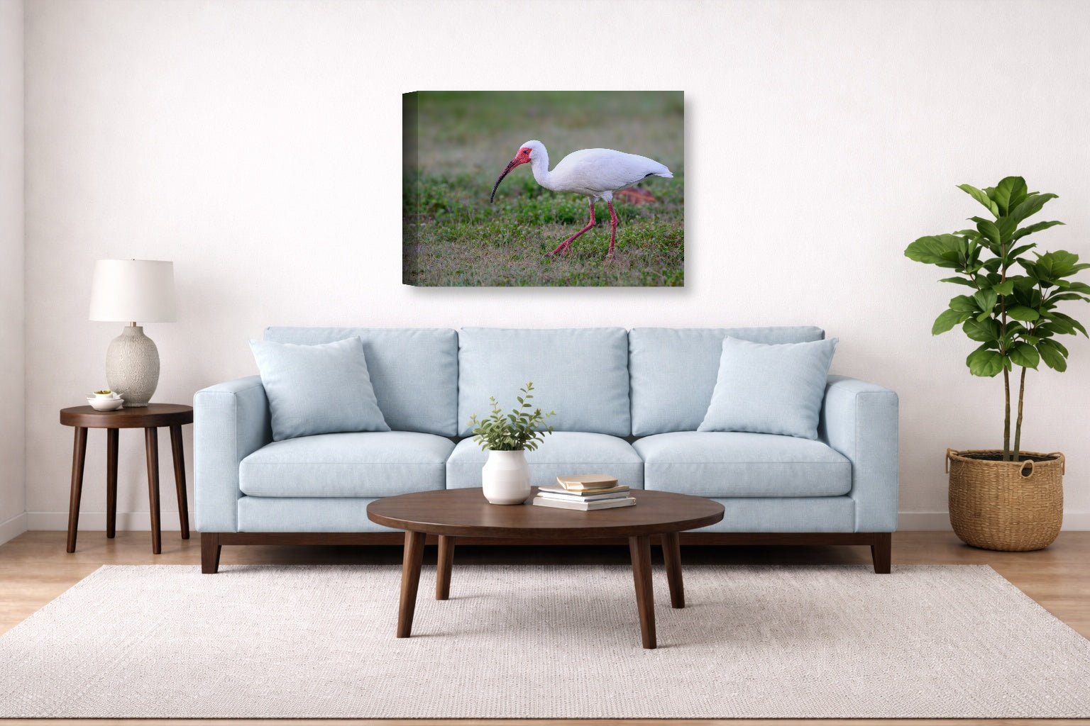 Ibis Walking in the Grass printed on canvas wall art displayed above a couch in a living room