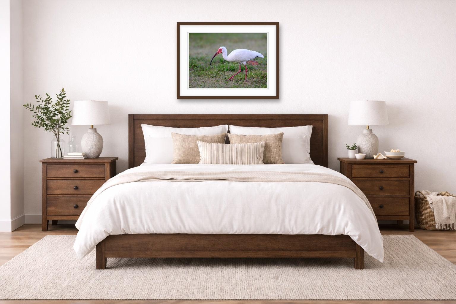 Ibis Walking in the Grass printed on fine art paper, framed on a espresso frame and matted. Hung on a living bedroom wall.