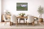 Ibis Walking in the Grass printed on aluminum metal with wall anchors. Hung on a dining room wall.