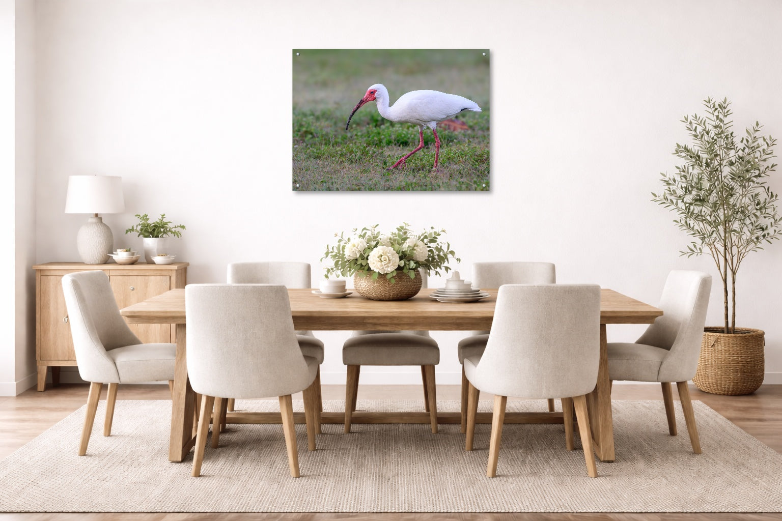 Ibis Walking in the Grass printed on aluminum metal with wall anchors. Hung on a dining room wall.