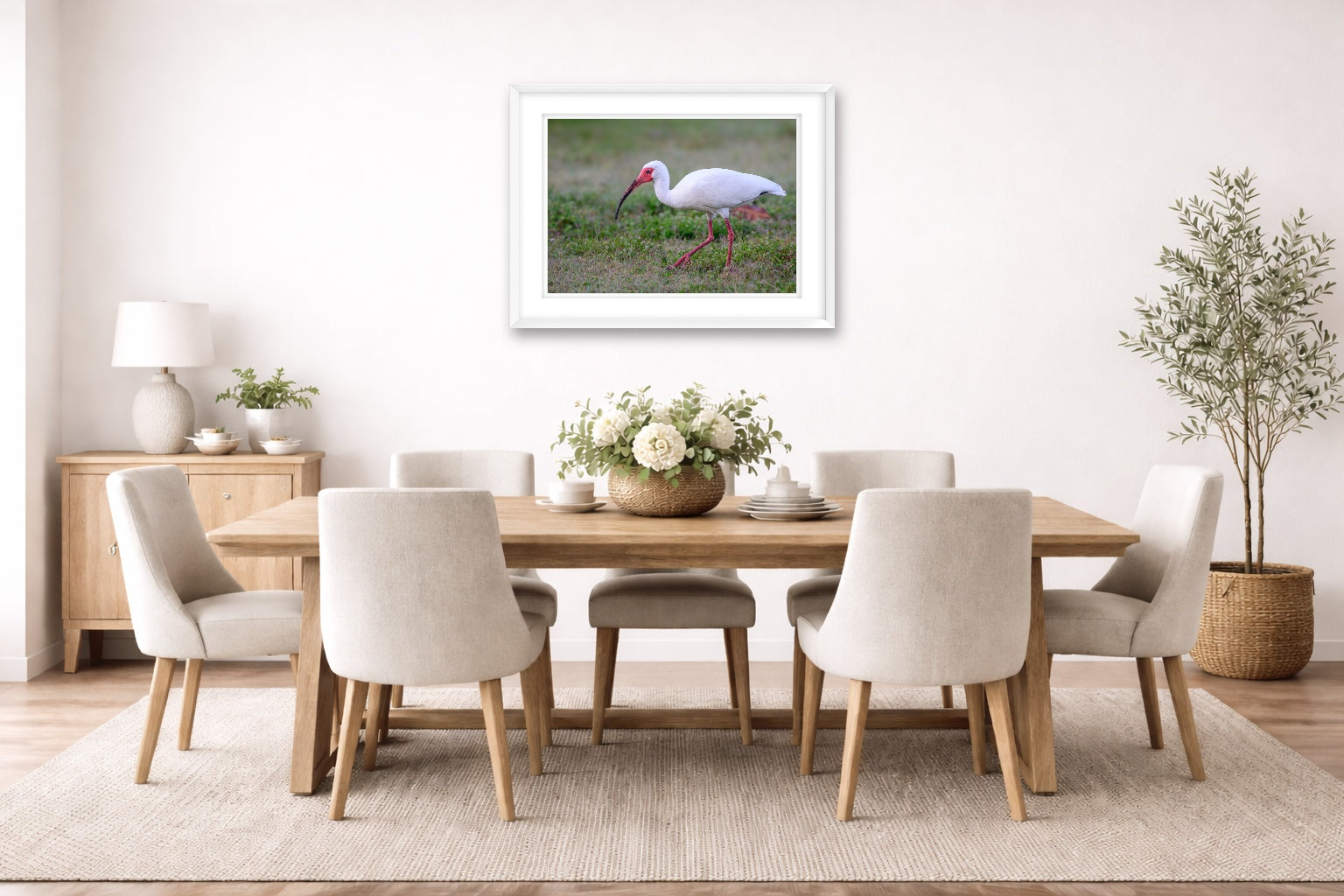 Ibis Walking in the Grass printed on fine art paper, framed on a white frame and matted. Hung on a dining room wall.