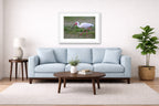 Ibis Walking in the Grass printed on fine art paper, framed on a white frame and matted. Hung on a living room wall.
