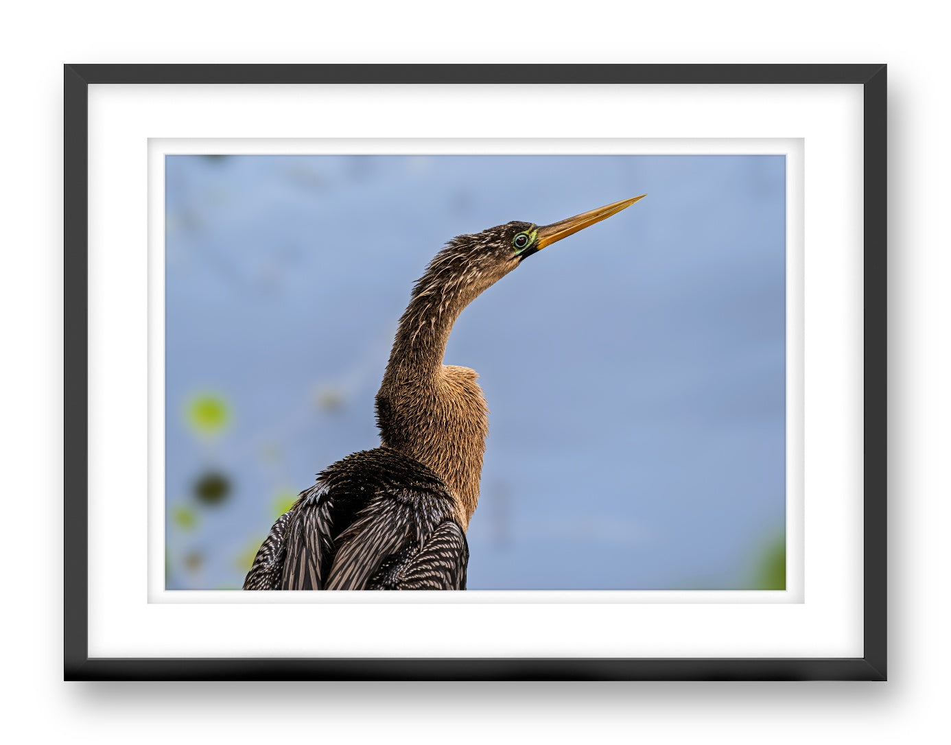 Patient Hunter printed on fine art paper, framed on a black frame and matted.