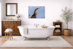 Patient Hunter - Anhinga printed on aluminum metal with wall anchors. Hung on a bathroom wall.