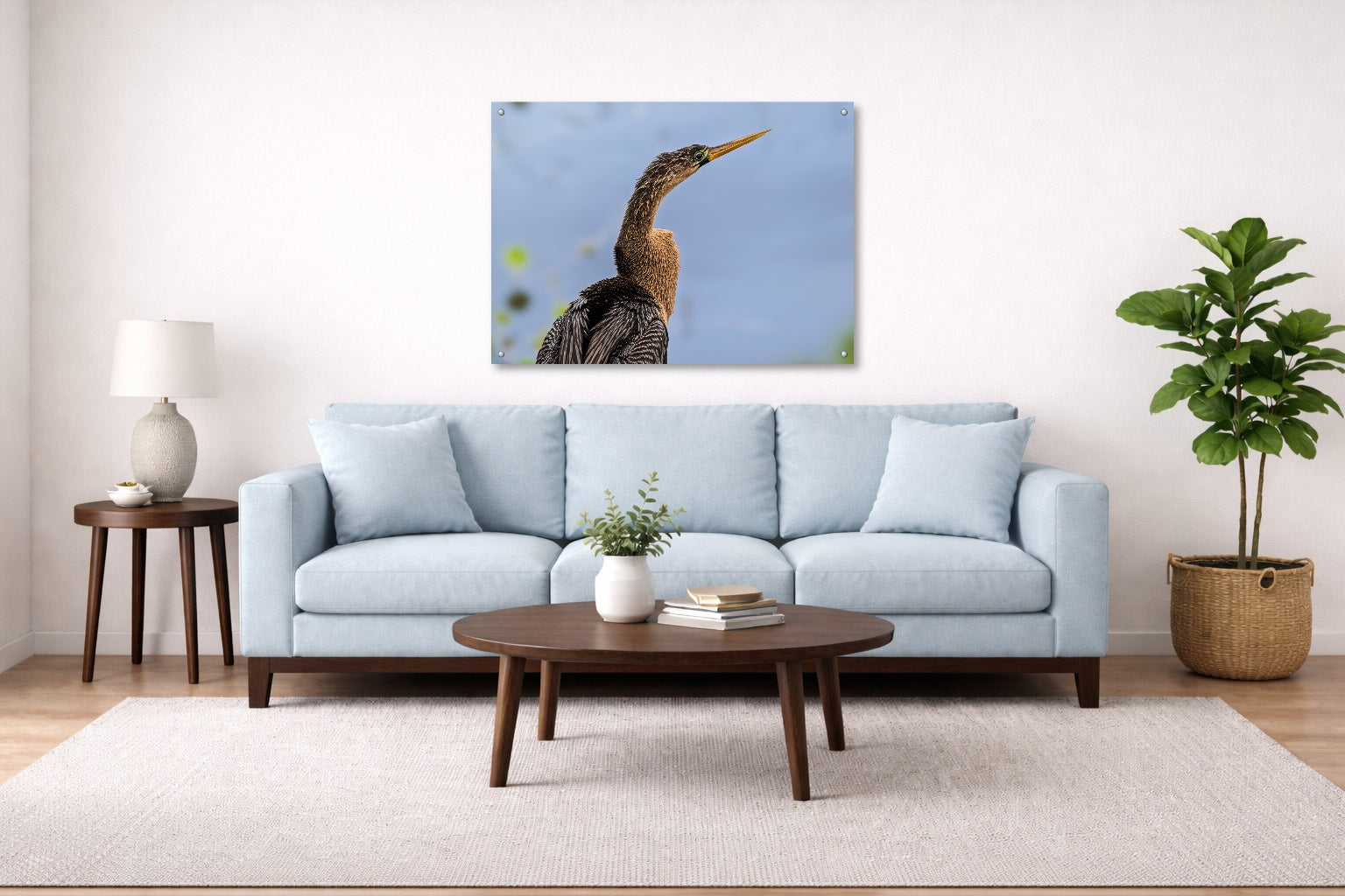 Patient Hunter - Anhinga printed on aluminum metal with wall anchors. Hung on a living room wall.