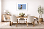 Patient Hunter - Anhinga printed on fine art paper, framed on a white frame and matted. Hung on a dining room wall.