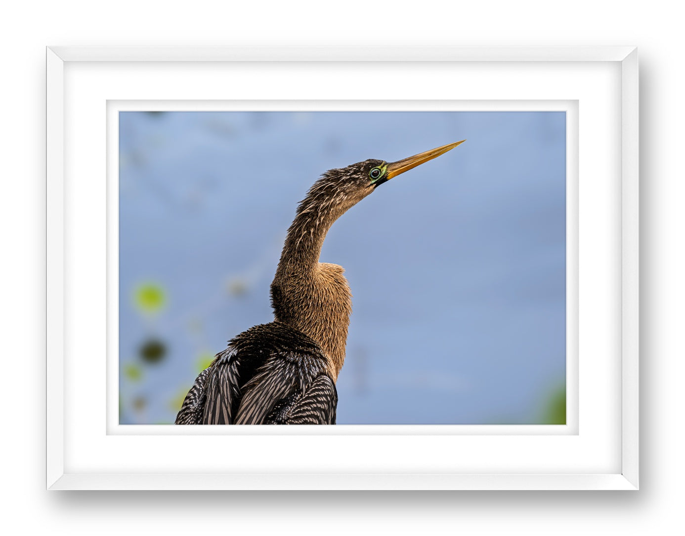 Patient Hunter printed on fine art paper, framed on a white frame and matted.