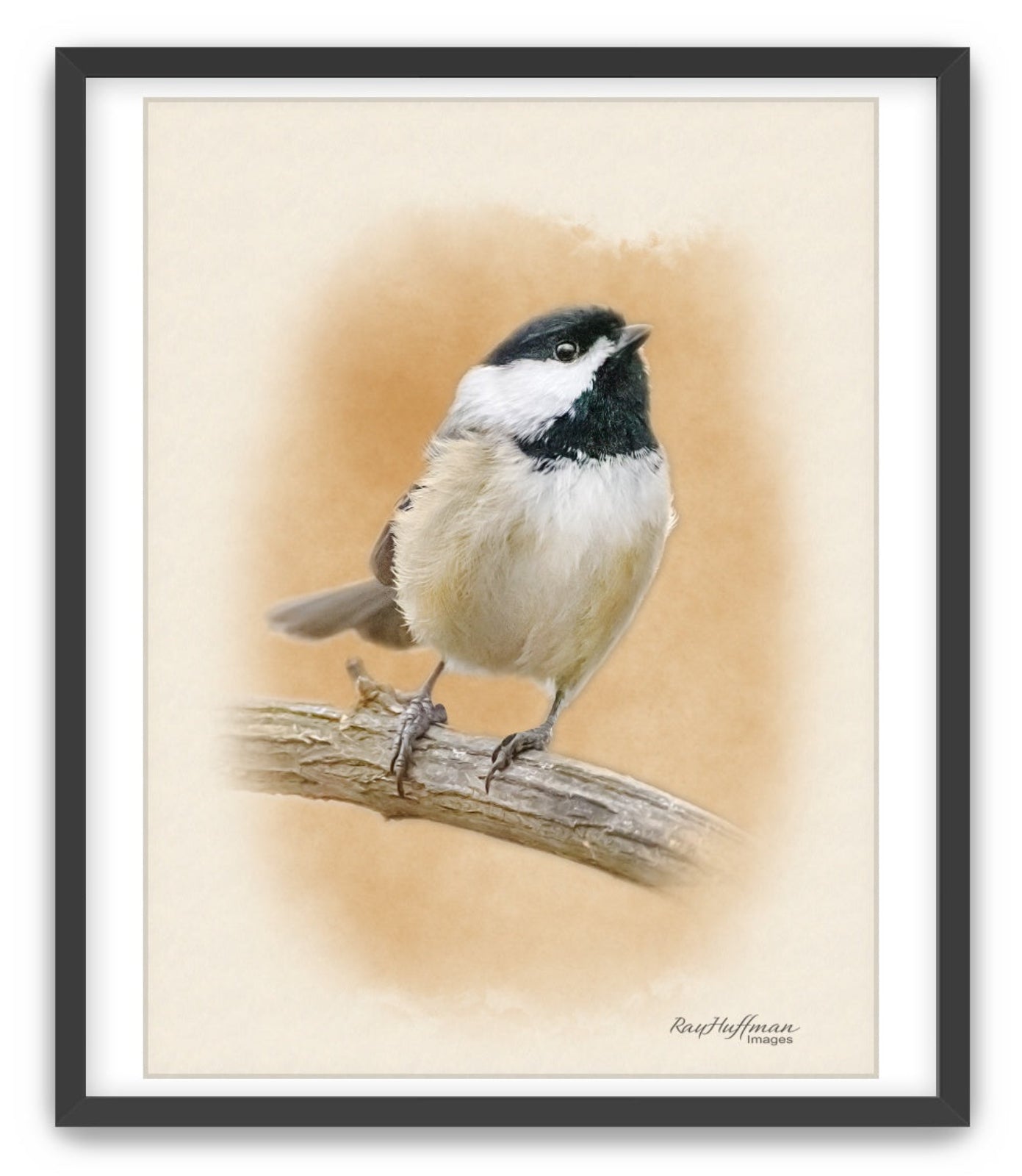 Chickadee - Watercolor Wall Art