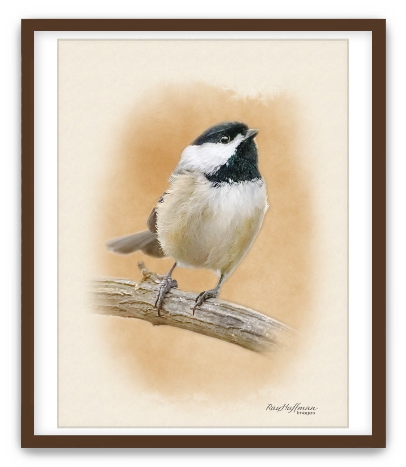 Chickadee